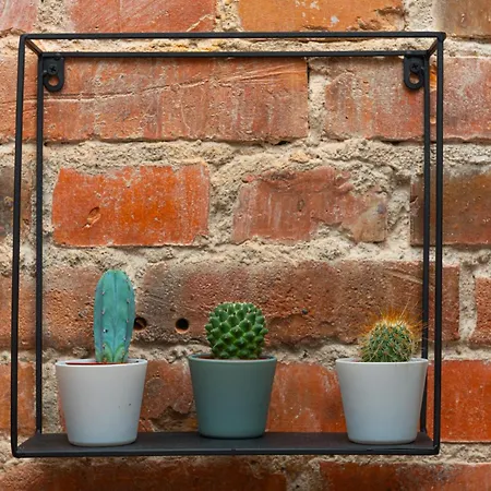 Wyspa Slodowa Bricks Studio